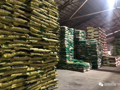 云南昆明 社农合作用持续发力 物资供应进村入户走农为畅通春耕流程赋能