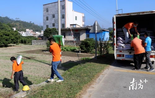 送农资 授农技 信宜供销服务直通3万户田间地头